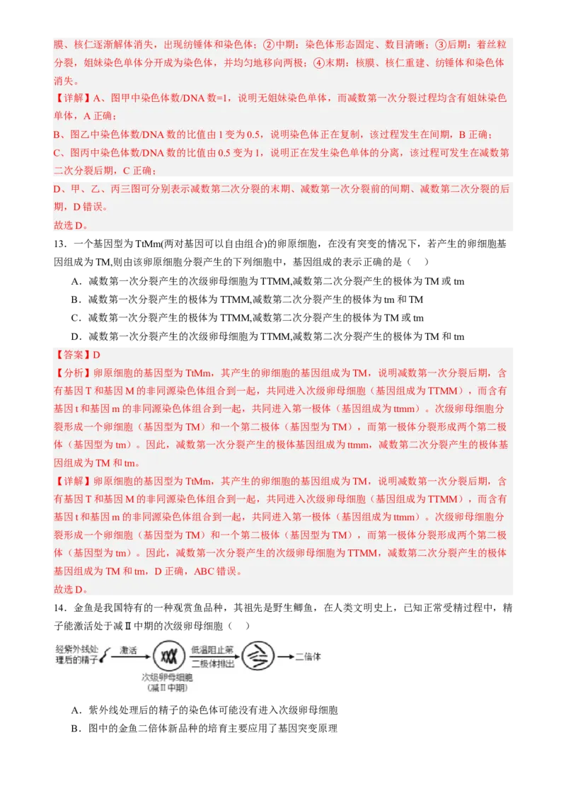 第四单元细胞的生命历程（测试）（解析版）_2025年新高考资料_一轮复习_2025年高考生物一轮复习讲练测（新教材新高考）