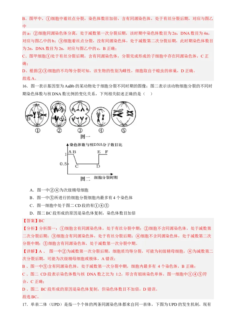 第四单元细胞的生命历程（测试）（解析版）_2025年新高考资料_一轮复习_2025年高考生物一轮复习讲练测（新教材新高考）