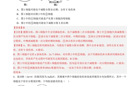 第四单元细胞的生命历程（测试）（解析版）_2025年新高考资料_一轮复习_2025年高考生物一轮复习讲练测（新教材新高考）