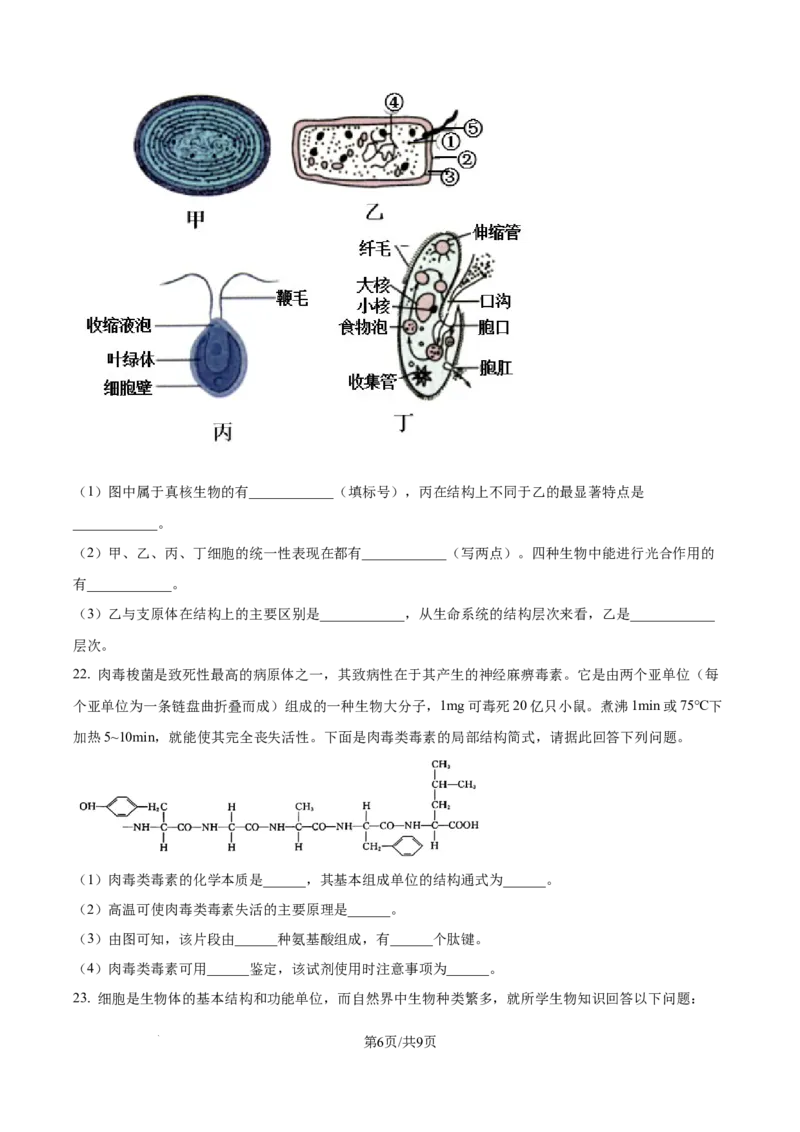 精品解析：内蒙古通辽市第一中学2025-2026学年高一上学期第一次月考生物试题（原卷版）_2025年10月高一试卷_251012内蒙古通辽市第一中学2025-2026学年高一上学期第一次月考