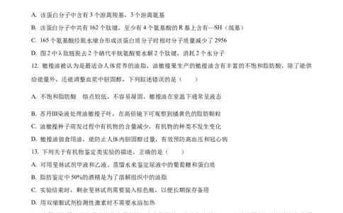 精品解析：内蒙古通辽市第一中学2025-2026学年高一上学期第一次月考生物试题（原卷版）_2025年10月高一试卷_251012内蒙古通辽市第一中学2025-2026学年高一上学期第一次月考