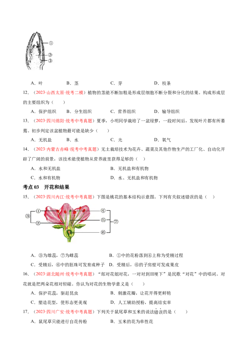 专题05被子植物的一生（原卷版）_6生物中考复习_2024年中考复习资料_一轮复习资料_❤备战2024年中考生物一轮复习考点帮（全国通用）_配套练习（原卷版+解析版）