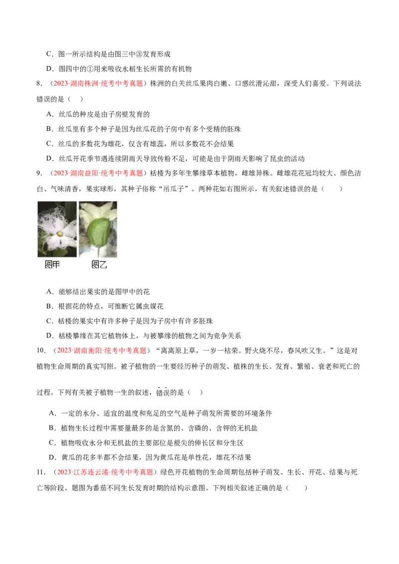 专题05被子植物的一生（原卷版）_6生物中考复习_2024年中考复习资料_一轮复习资料_❤备战2024年中考生物一轮复习考点帮（全国通用）_配套练习（原卷版+解析版）