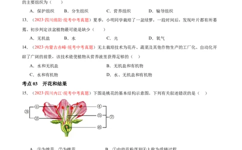 专题05被子植物的一生（原卷版）_6生物中考复习_2024年中考复习资料_一轮复习资料_❤备战2024年中考生物一轮复习考点帮（全国通用）_配套练习（原卷版+解析版）