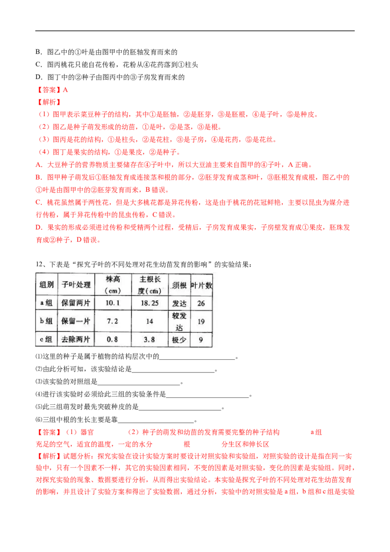 专题06被子植物的一生-2022年中考生物一轮复习抓重点考典型（人教版）（解析版）_6生物中考复习_2023年中考复习资料_一轮复习_2022年中考生物一轮复习抓重点考典型（人教版）