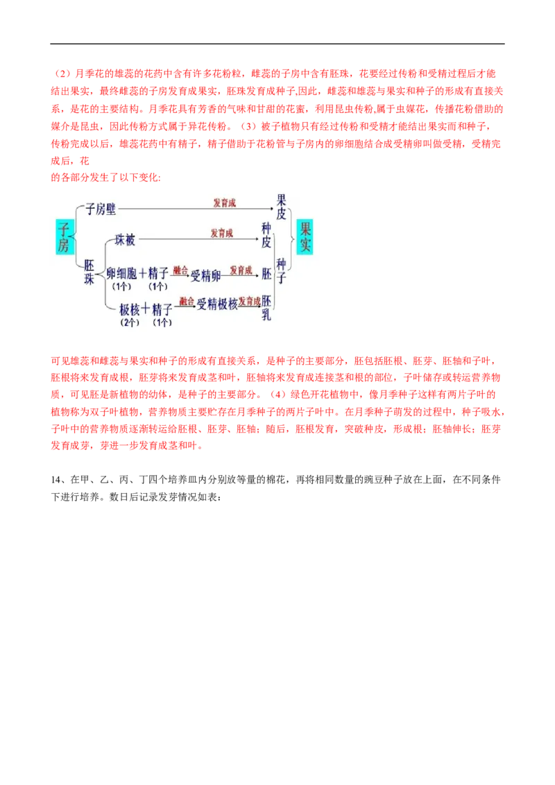 专题06被子植物的一生-2022年中考生物一轮复习抓重点考典型（人教版）（解析版）_6生物中考复习_2023年中考复习资料_一轮复习_2022年中考生物一轮复习抓重点考典型（人教版）