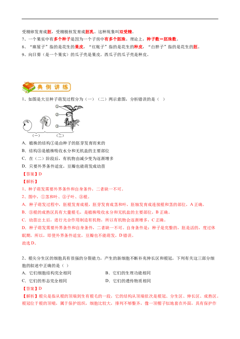 专题06被子植物的一生-2022年中考生物一轮复习抓重点考典型（人教版）（解析版）_6生物中考复习_2023年中考复习资料_一轮复习_2022年中考生物一轮复习抓重点考典型（人教版）
