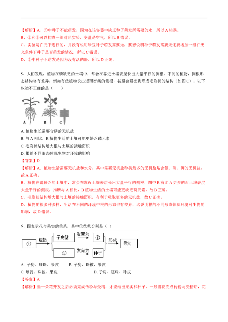 专题06被子植物的一生-2022年中考生物一轮复习抓重点考典型（人教版）（解析版）_6生物中考复习_2023年中考复习资料_一轮复习_2022年中考生物一轮复习抓重点考典型（人教版）