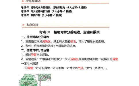 专题06绿色植物与生物圈的水循环（背记帮）-备战2024年中考生物一轮复习考点帮（全国通用）_6生物中考复习_2024年中考复习资料_一轮复习资料_必背考点