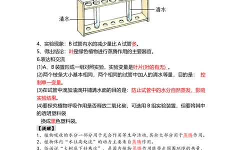 专题06绿色植物与生物圈的水循环（背记帮）-备战2024年中考生物一轮复习考点帮（全国通用）_6生物中考复习_2024年中考复习资料_一轮复习资料_必背考点