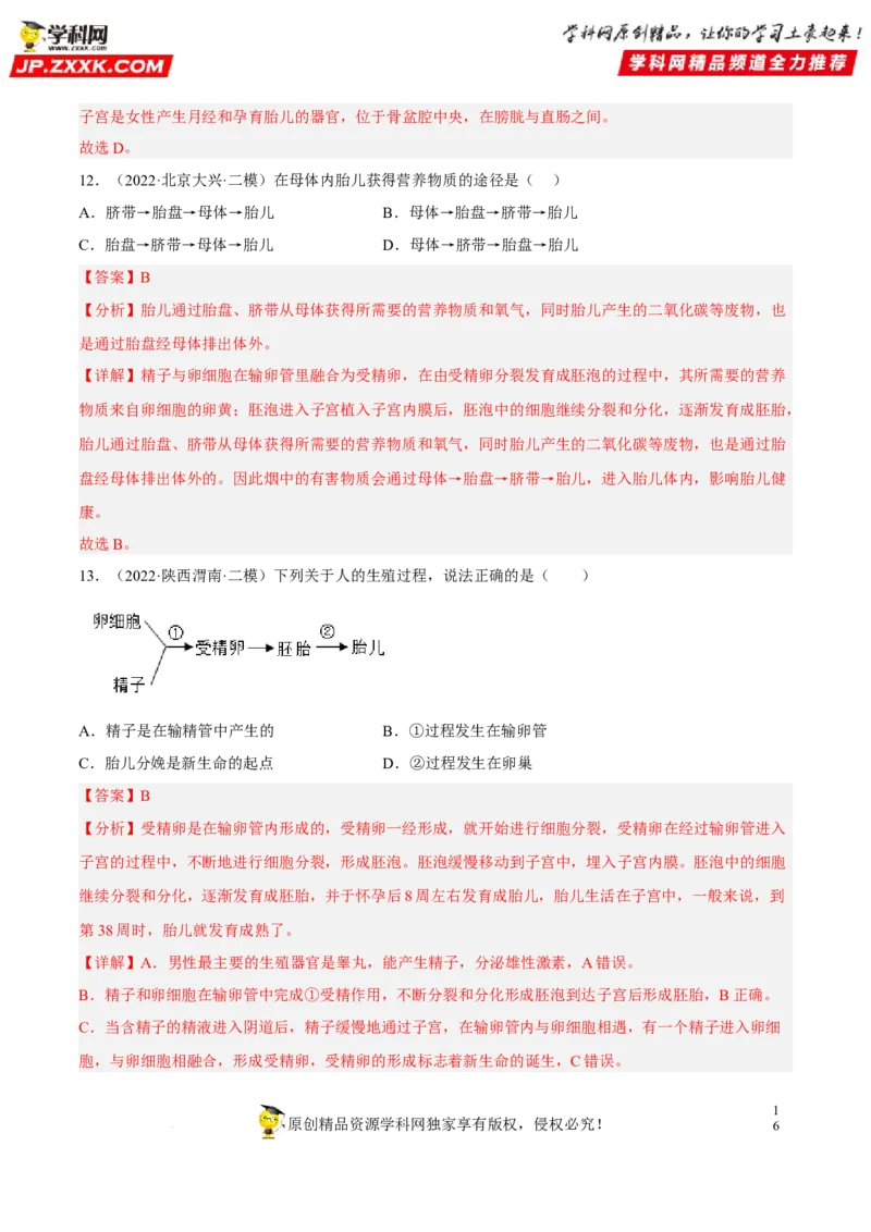 专题06人的由来（习题帮）（解析版）_6生物中考复习_2023年中考复习资料_一轮复习_备战2023年中考生物一轮复习考点帮（全国通用）288506454