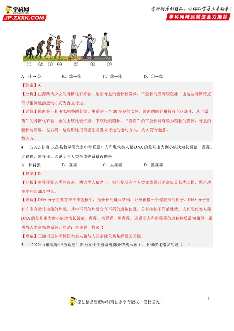 专题06人的由来（习题帮）（解析版）_6生物中考复习_2023年中考复习资料_一轮复习_备战2023年中考生物一轮复习考点帮（全国通用）288506454