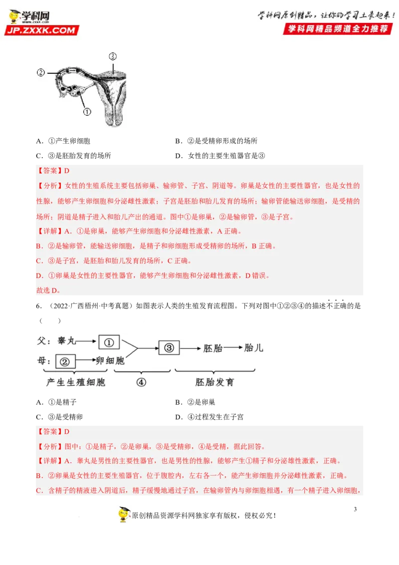 专题06人的由来（习题帮）（解析版）_6生物中考复习_2023年中考复习资料_一轮复习_备战2023年中考生物一轮复习考点帮（全国通用）288506454