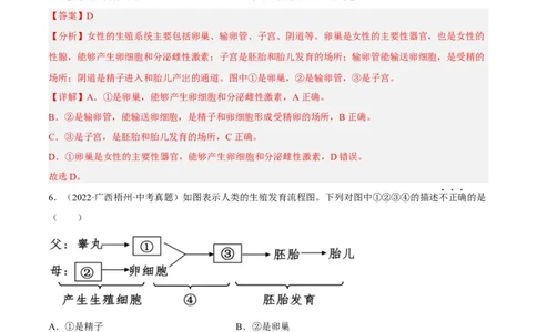专题06人的由来（习题帮）（解析版）_6生物中考复习_2023年中考复习资料_一轮复习_备战2023年中考生物一轮复习考点帮（全国通用）288506454