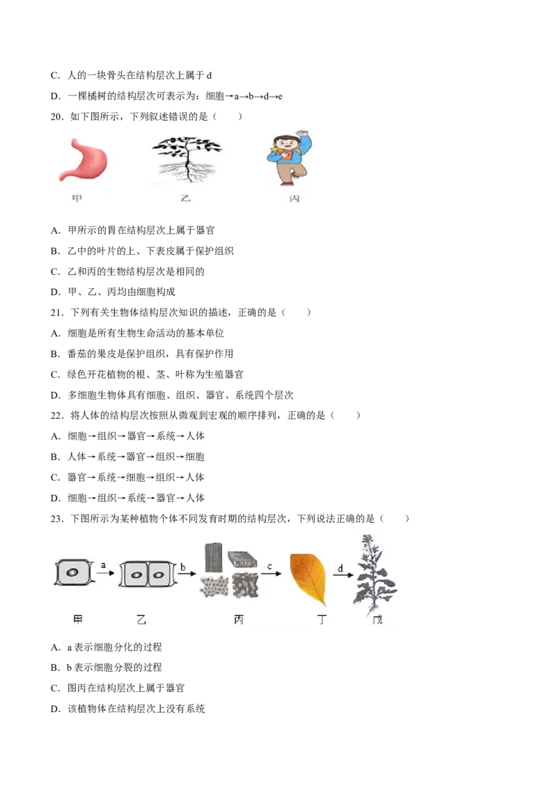 专题03细胞怎样构成生物体（原卷版）_6生物中考复习_2024年中考复习资料_一轮复习资料_省心备考2024年中考生物一轮复习精讲精练（全国通用）_配套练习（原卷版+解析版）