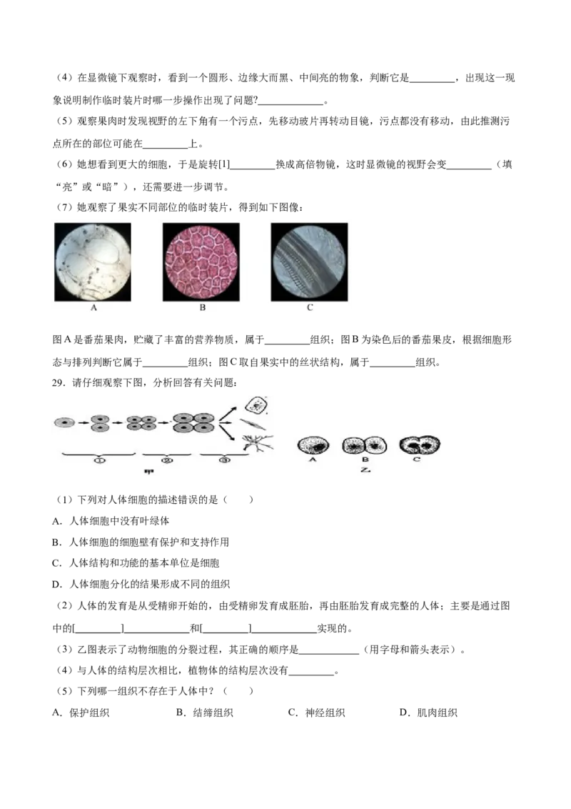 专题03细胞怎样构成生物体（原卷版）_6生物中考复习_2024年中考复习资料_一轮复习资料_省心备考2024年中考生物一轮复习精讲精练（全国通用）_配套练习（原卷版+解析版）