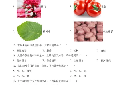 专题03细胞怎样构成生物体（原卷版）_6生物中考复习_2024年中考复习资料_一轮复习资料_省心备考2024年中考生物一轮复习精讲精练（全国通用）_配套练习（原卷版+解析版）