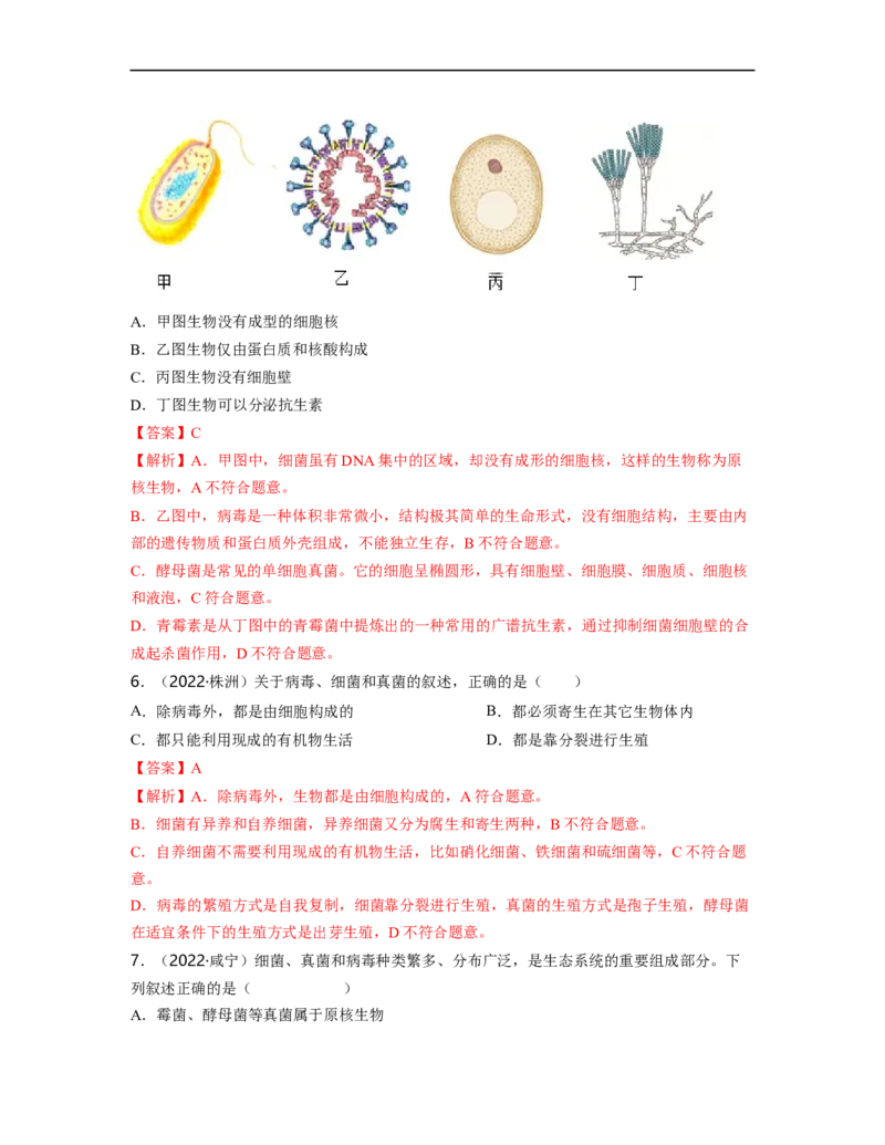 专题05生物圈中的其他生物（二）背诵清单+跟踪训练（教师版）_6生物中考复习_2023年中考复习资料_一轮复习_2023年中考生物一轮大单元复习过过过（全国通用）