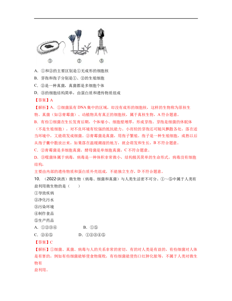 专题05生物圈中的其他生物（二）背诵清单+跟踪训练（教师版）_6生物中考复习_2023年中考复习资料_一轮复习_2023年中考生物一轮大单元复习过过过（全国通用）