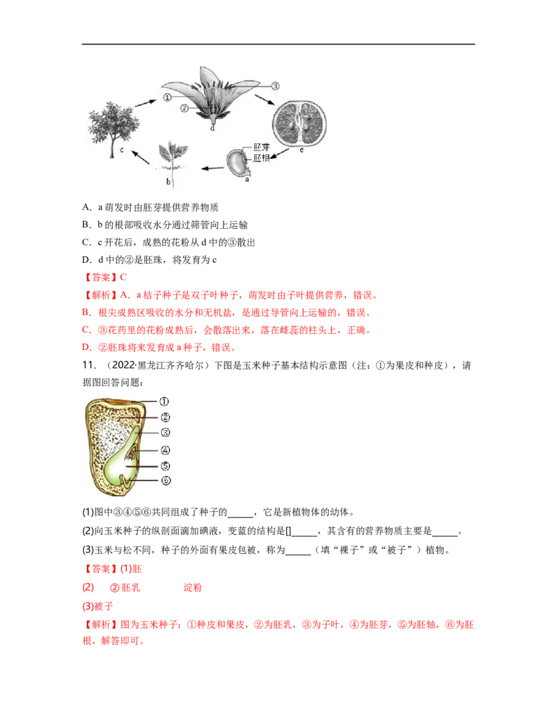 专题03生物圈中的绿色植物（一）背诵清单+跟踪训练（教师版）_6生物中考复习_2023年中考复习资料_一轮复习_2023年中考生物一轮大单元复习过过过（全国通用）