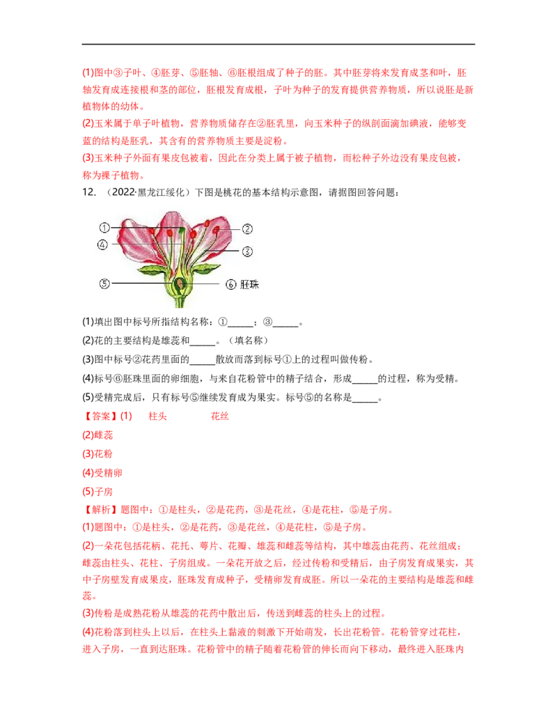 专题03生物圈中的绿色植物（一）背诵清单+跟踪训练（教师版）_6生物中考复习_2023年中考复习资料_一轮复习_2023年中考生物一轮大单元复习过过过（全国通用）