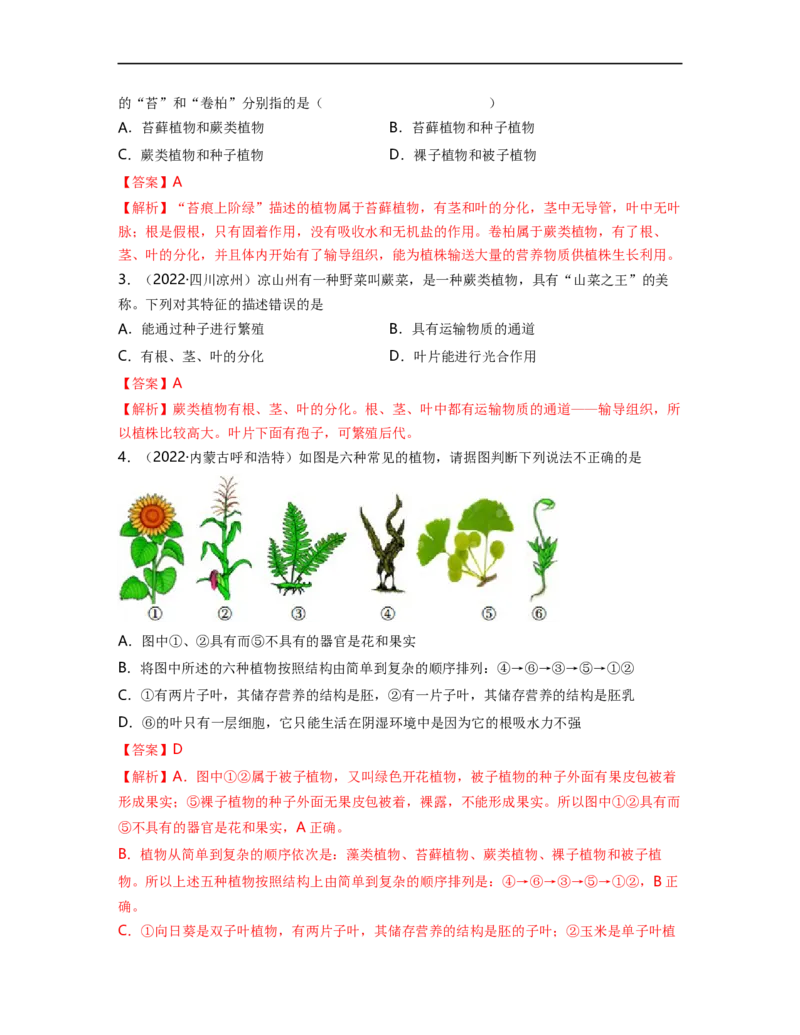 专题03生物圈中的绿色植物（一）背诵清单+跟踪训练（教师版）_6生物中考复习_2023年中考复习资料_一轮复习_2023年中考生物一轮大单元复习过过过（全国通用）