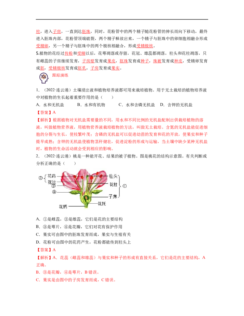 专题03生物圈中的绿色植物（一）背诵清单+跟踪训练（教师版）_6生物中考复习_2023年中考复习资料_一轮复习_2023年中考生物一轮大单元复习过过过（全国通用）