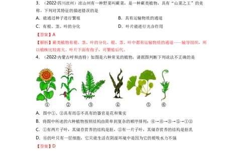 专题03生物圈中的绿色植物（一）背诵清单+跟踪训练（教师版）_6生物中考复习_2023年中考复习资料_一轮复习_2023年中考生物一轮大单元复习过过过（全国通用）