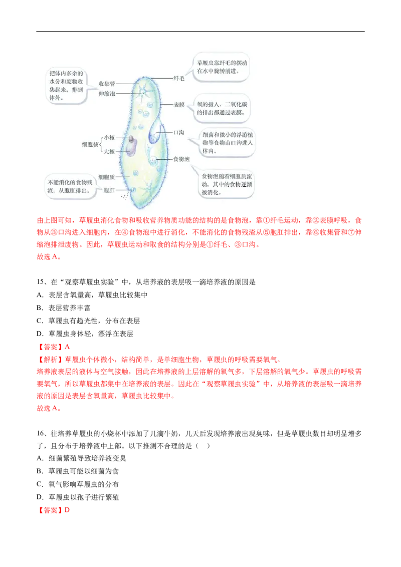 专题04细胞怎样构成生物体-2022年中考生物一轮复习抓重点考典型（人教版）（解析版）_6生物中考复习_2023年中考复习资料_一轮复习_2022年中考生物一轮复习抓重点考典型（人教版）