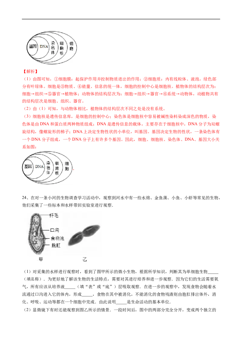 专题04细胞怎样构成生物体-2022年中考生物一轮复习抓重点考典型（人教版）（解析版）_6生物中考复习_2023年中考复习资料_一轮复习_2022年中考生物一轮复习抓重点考典型（人教版）