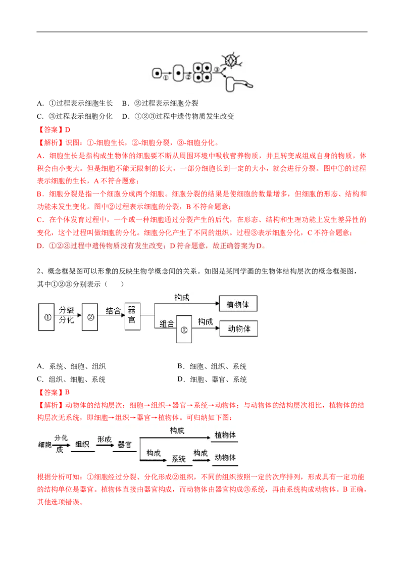 专题04细胞怎样构成生物体-2022年中考生物一轮复习抓重点考典型（人教版）（解析版）_6生物中考复习_2023年中考复习资料_一轮复习_2022年中考生物一轮复习抓重点考典型（人教版）
