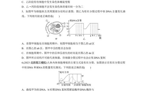 第四单元课时练20有丝分裂过程中相关变化及观察实验_2025年新高考资料_一轮复习_2025大一轮复习讲义+课件（完结）_2025大一轮复习讲义生物学生用书Word版文档整书_2025一轮复习73练