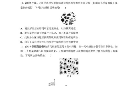 第四单元课时练20有丝分裂过程中相关变化及观察实验_2025年新高考资料_一轮复习_2025大一轮复习讲义+课件（完结）_2025大一轮复习讲义生物学生用书Word版文档整书_2025一轮复习73练