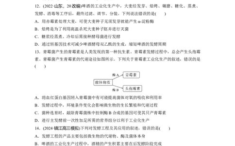 第十单元　课时练56　传统发酵技术的应用、发酵工程及其应用_2025年新高考资料_一轮复习_2025大一轮复习讲义+课件（完结）_2025大一轮复习讲义生物学生用书Word版文档整书