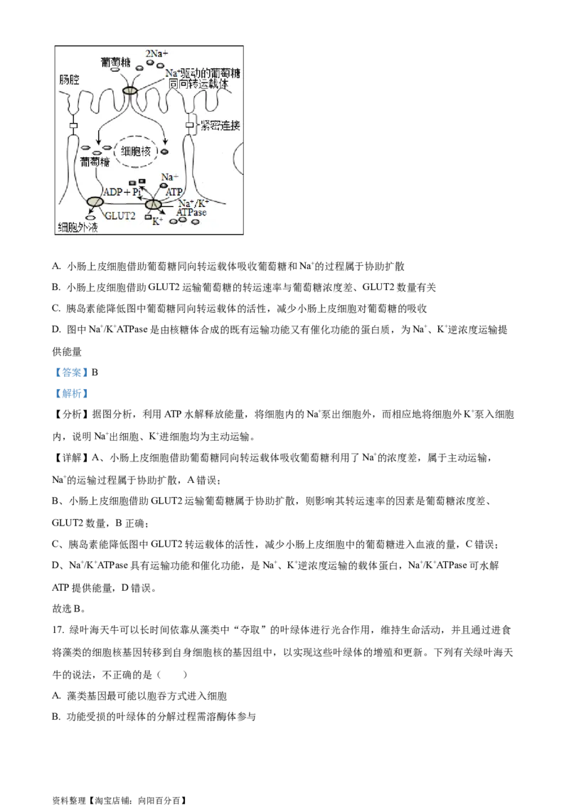 精品解析：2024届四川省成都市七中高三零诊模拟考试生物试题（解析版）_生物高考模拟题_老高考_2024年_精品解析：2024届四川省成都市七中高三零诊模拟考试生物试题