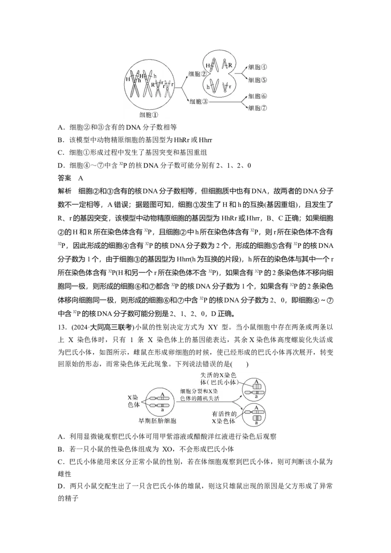 第四单元　专题突破4　减数分裂与可遗传变异的关系_2025年新高考资料_一轮复习_2025大一轮复习讲义+课件（完结）_2025大一轮复习讲义生物教师用书Word版文档整书