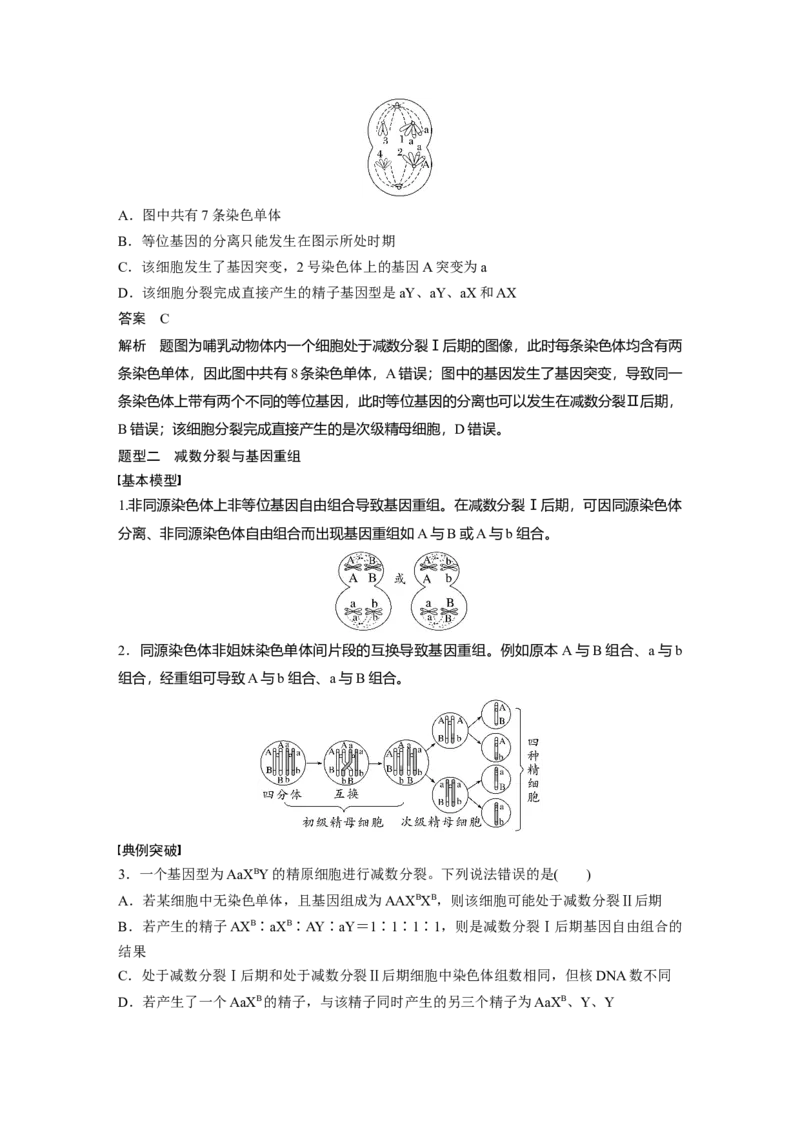 第四单元　专题突破4　减数分裂与可遗传变异的关系_2025年新高考资料_一轮复习_2025大一轮复习讲义+课件（完结）_2025大一轮复习讲义生物教师用书Word版文档整书