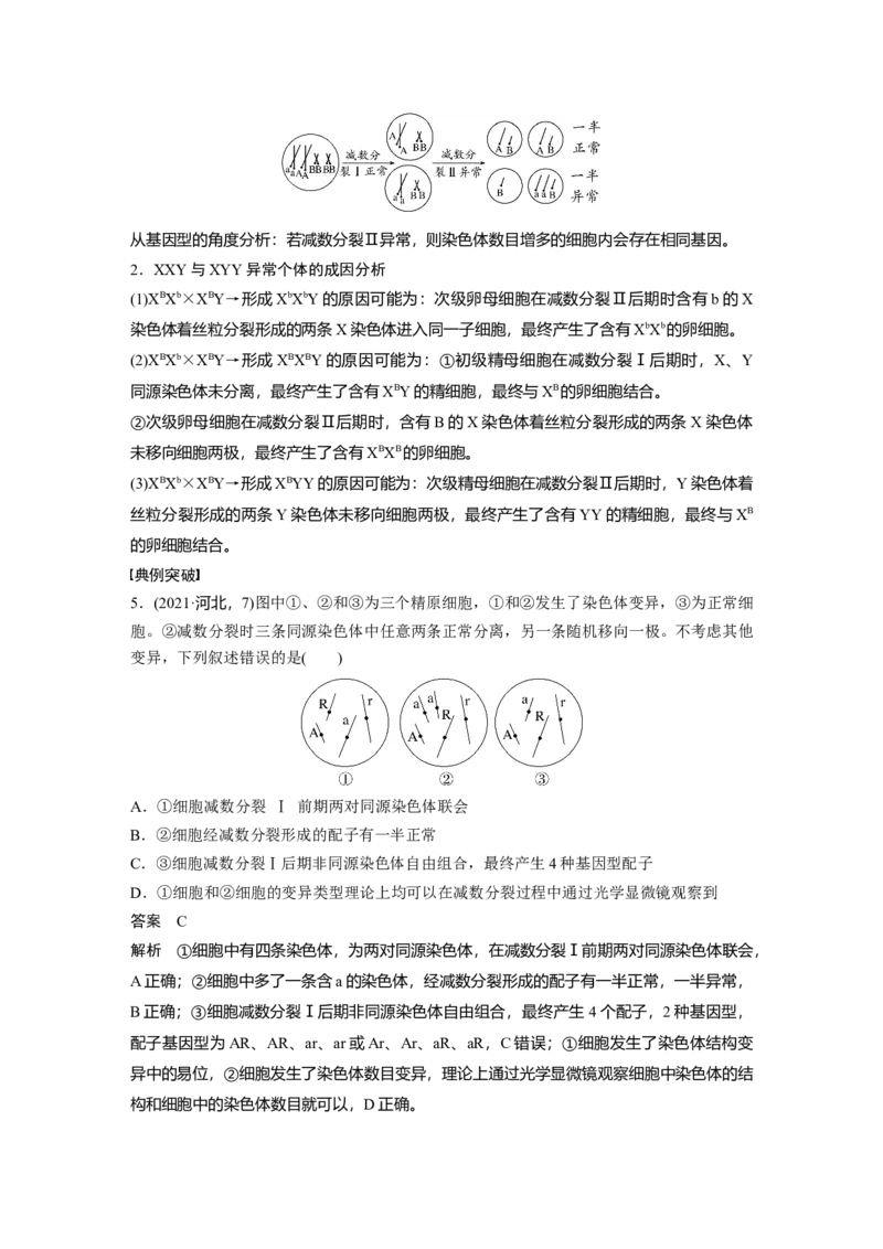 第四单元　专题突破4　减数分裂与可遗传变异的关系_2025年新高考资料_一轮复习_2025大一轮复习讲义+课件（完结）_2025大一轮复习讲义生物教师用书Word版文档整书