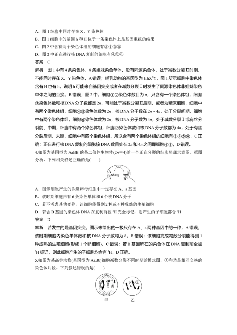 第四单元　专题突破4　减数分裂与可遗传变异的关系_2025年新高考资料_一轮复习_2025大一轮复习讲义+课件（完结）_2025大一轮复习讲义生物教师用书Word版文档整书