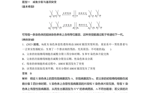 第四单元　专题突破4　减数分裂与可遗传变异的关系_2025年新高考资料_一轮复习_2025大一轮复习讲义+课件（完结）_2025大一轮复习讲义生物教师用书Word版文档整书