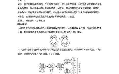 第四单元　专题突破4　减数分裂与可遗传变异的关系_2025年新高考资料_一轮复习_2025大一轮复习讲义+课件（完结）_2025大一轮复习讲义生物教师用书Word版文档整书