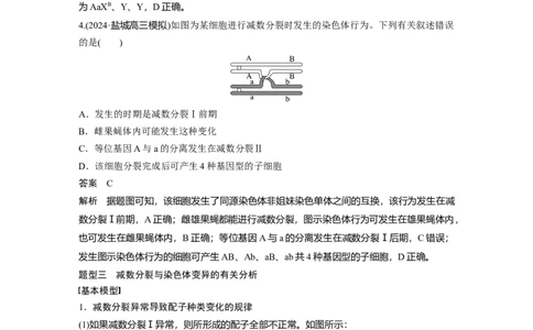 第四单元　专题突破4　减数分裂与可遗传变异的关系_2025年新高考资料_一轮复习_2025大一轮复习讲义+课件（完结）_2025大一轮复习讲义生物教师用书Word版文档整书