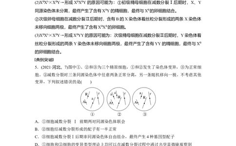 第四单元　专题突破4　减数分裂与可遗传变异的关系_2025年新高考资料_一轮复习_2025大一轮复习讲义+课件（完结）_2025大一轮复习讲义生物教师用书Word版文档整书