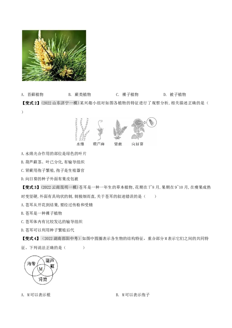 专题04动植物的主要类群（原卷版）_6生物中考复习_2023年中考复习资料_专项复习_2023年中考生物总复习真题探究与变式训练（全国通用）