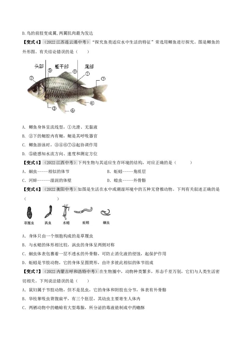 专题04动植物的主要类群（原卷版）_6生物中考复习_2023年中考复习资料_专项复习_2023年中考生物总复习真题探究与变式训练（全国通用）