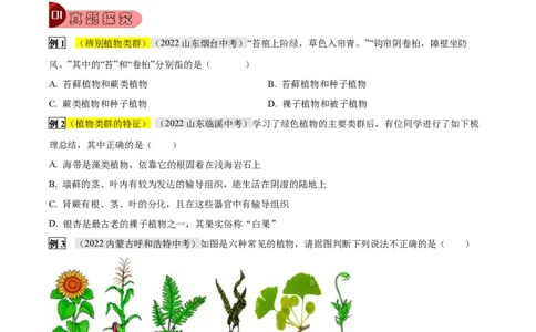 专题04动植物的主要类群（原卷版）_6生物中考复习_2023年中考复习资料_专项复习_2023年中考生物总复习真题探究与变式训练（全国通用）