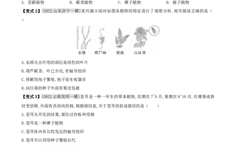 专题04动植物的主要类群（原卷版）_6生物中考复习_2023年中考复习资料_专项复习_2023年中考生物总复习真题探究与变式训练（全国通用）
