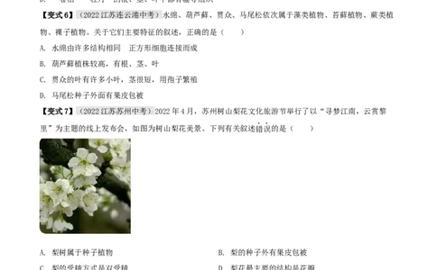 专题04动植物的主要类群（原卷版）_6生物中考复习_2023年中考复习资料_专项复习_2023年中考生物总复习真题探究与变式训练（全国通用）