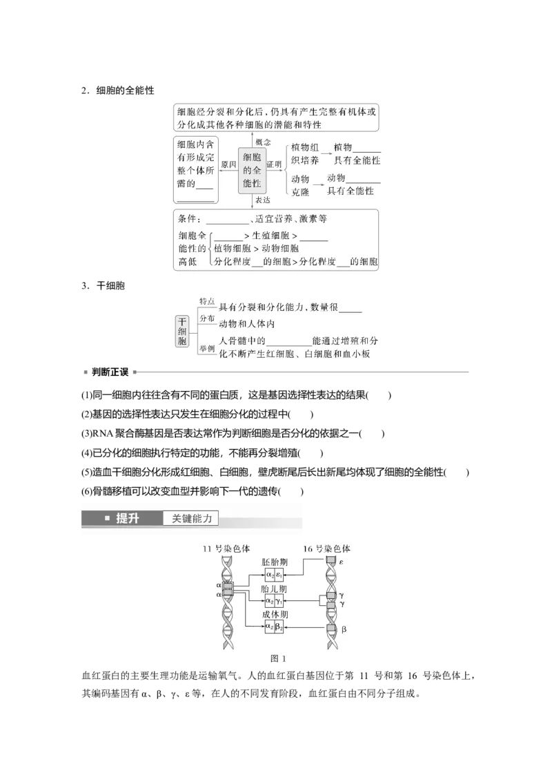 第四单元　第23课时　细胞的分化、衰老和死亡_新高考复习资料_2025年新高考资料_2025新高考一轮复习生物_2025大一轮复习讲义生物人教版学生用书Word版文档整书_2025大一轮复习讲义