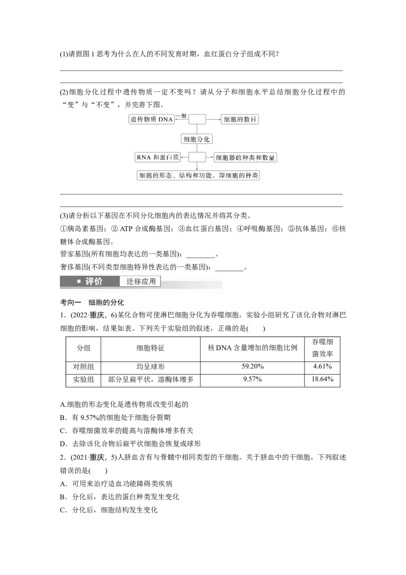 第四单元　第23课时　细胞的分化、衰老和死亡_新高考复习资料_2025年新高考资料_2025新高考一轮复习生物_2025大一轮复习讲义生物人教版学生用书Word版文档整书_2025大一轮复习讲义